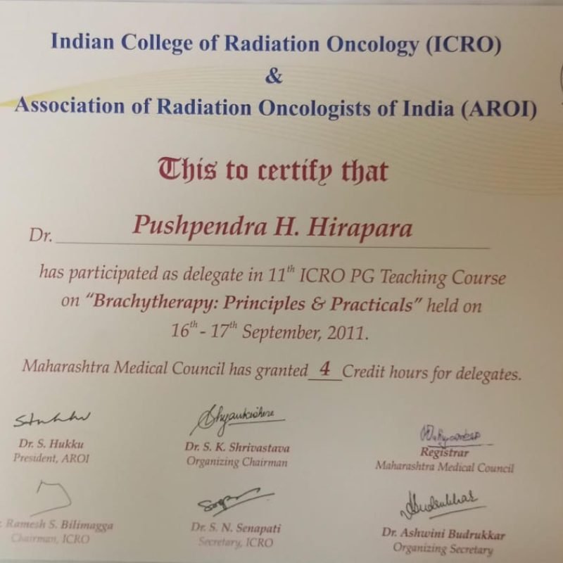 AROI ICRO brachytherapy workshop Sept 2011